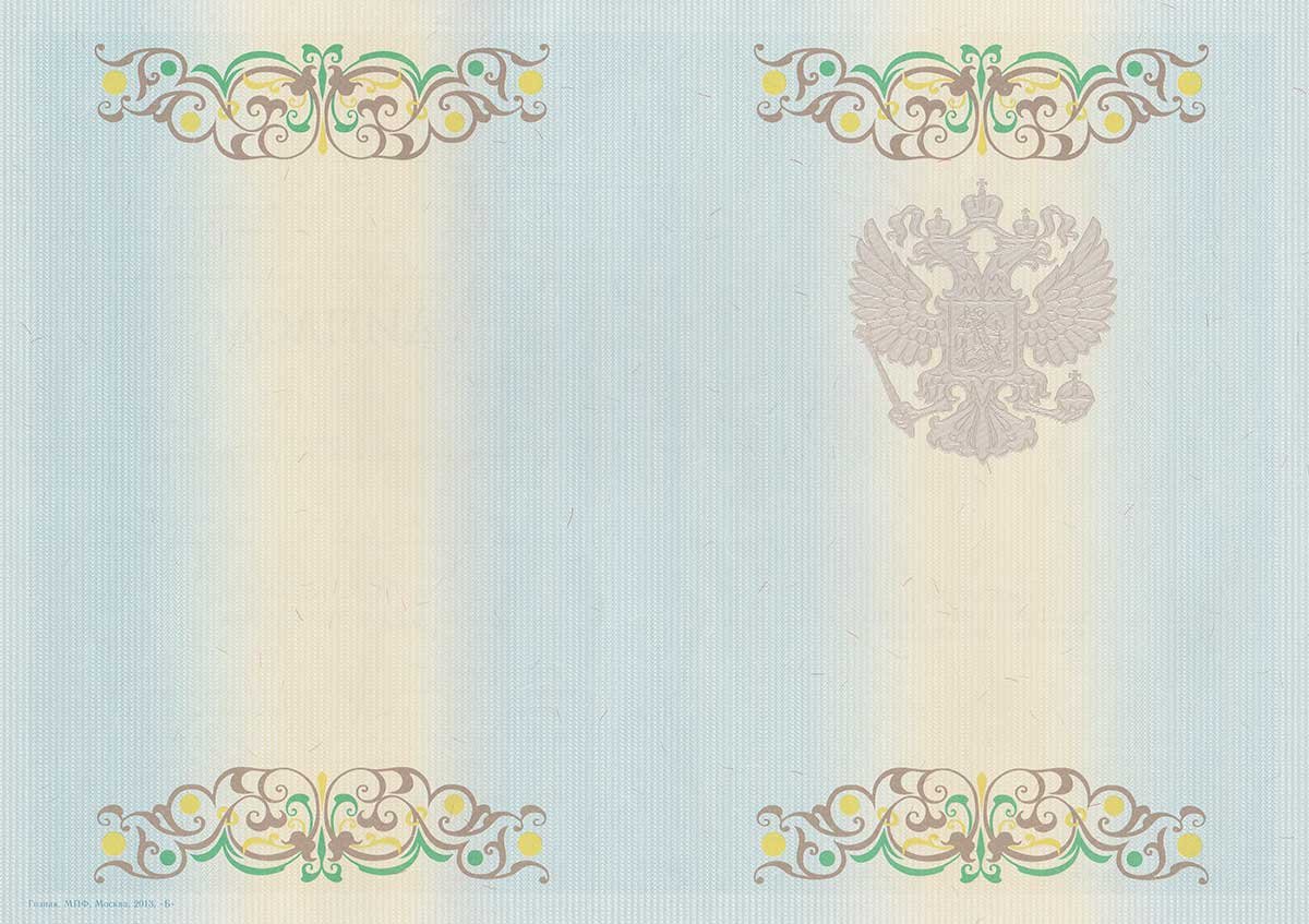 Диплом специалиста 2011-2013 год 